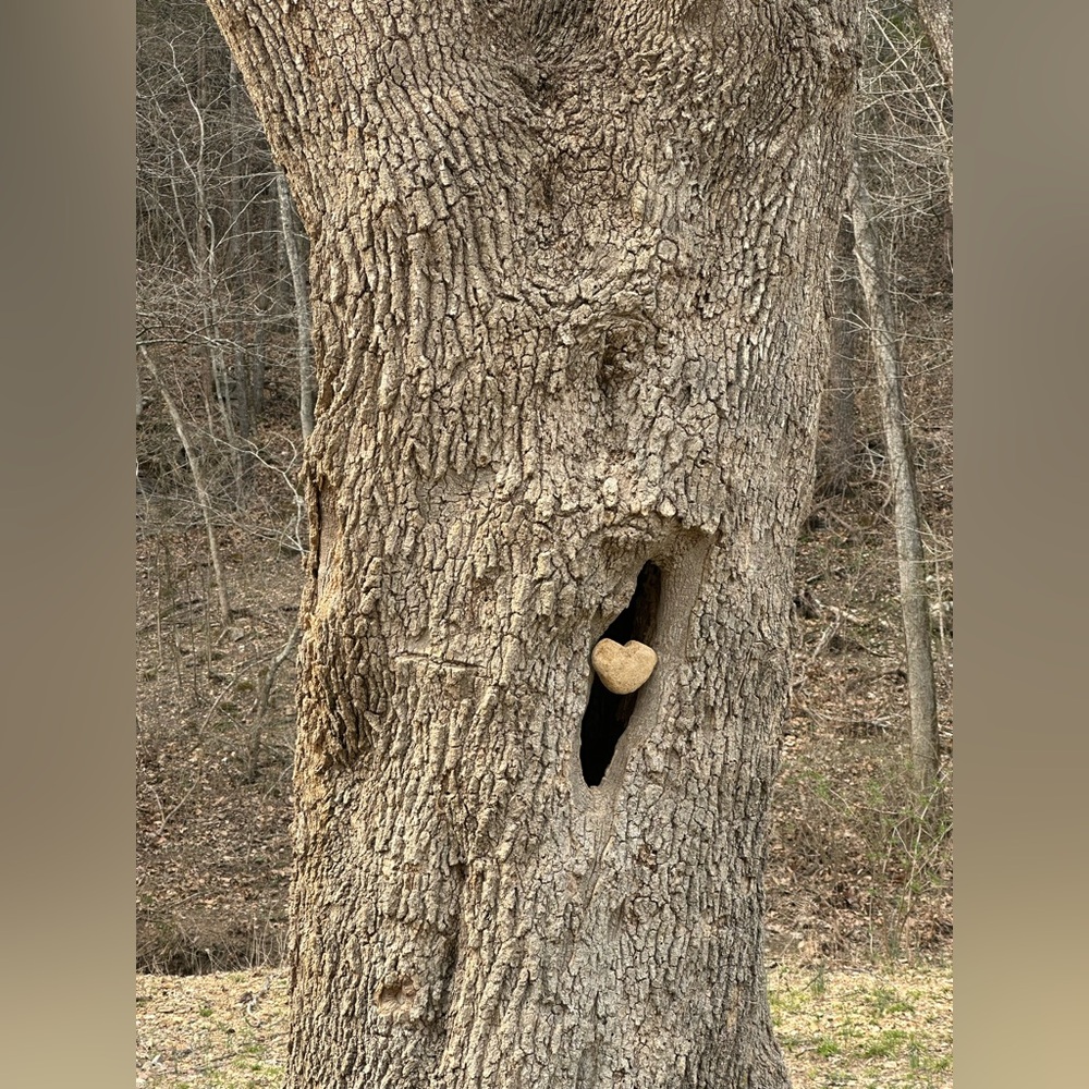 Meet your Posher, Whitney - Picture 13 of 13